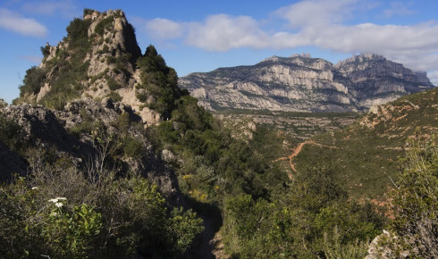 Camí a Sant Salvador. Foto Pere Grimau